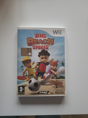 Big beach sports nintendo - big,