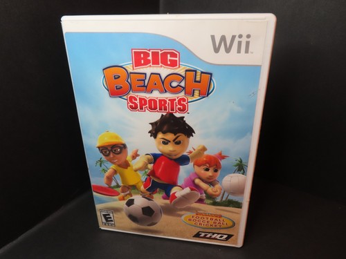 Big beach sports nintendo - big,