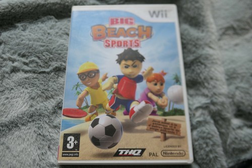 Jeu nintendo wii big beach - nintendo,