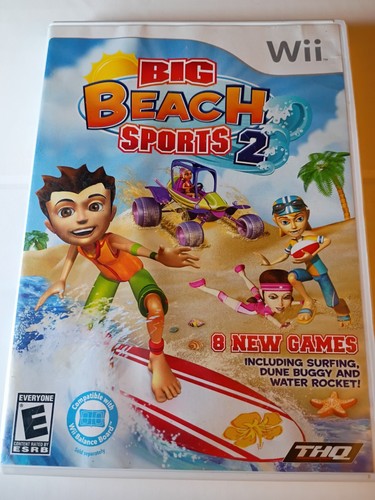 Big beach sports nintendo - big,